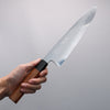 Tessen by Tanaka Tamahagane Mirrored Finish Gyuto  240mm Wild Cherry Handle - Japannywholesale