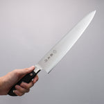 Tojiro (Fujitora) DP Cobalt Alloy Steel Gyuto  270mm Pakka wood Handle FU810 - Japannywholesale