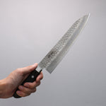 Seisuke AUS8 Hammered Gyuto  210mm Brown Pakka wood Handle - Japannywholesale