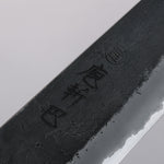 Tomoe Hozan White Steel No.2 Black Finished Gyuto  210mm Olive Tree and Black Resin Handle - Japannywholesale