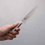 Sakai Takayuki INOX PRO Molybdenum Petty-Utility  120mm - Japannywholesale