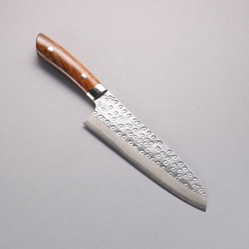 Takeshi Saji SRS13 Damascus Hammered(Maru) Santoku  180mm Ironwood Handle - Japannywholesale