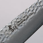 Sakai Takayuki VG10 33 Layer Hammered Damascus Gyuto  210mm Rosewood (ferrule: Red Pakka wood) Handle - Japannywholesale