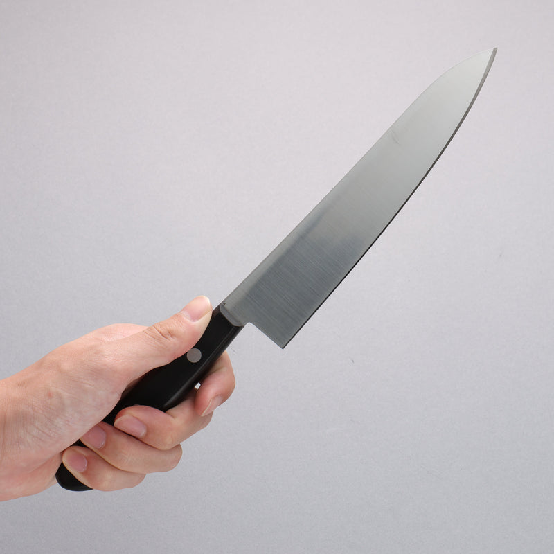 Sakai Takayuki Grand Chef Swedish Steel-stn Gyuto - Japannywholesale