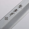 Sakai Takayuki Yanagiba Knife World Sushi Skills Institute Special Edition Green - Japannywholesale