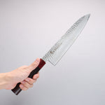 Sakai Takayuki VG10 33 Layer Damascus Gyuto 240mm Rosewood (ferrule: Red Pakka wood) Handle - Japannywholesale