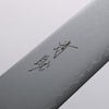 Seisuke VG10 Damascus Kiritsuke Sujihiki 270mm Ebony Wood Handle - Japannywholesale