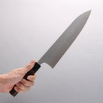 Shungo Ogata SG2 Migaki Finished Gyuto 240mm Shitan Handle - Japannywholesale