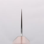 Shibata Takayuki Koutetsu SG2 Gyuto 240mm Jarrah Handle - Japannywholesale