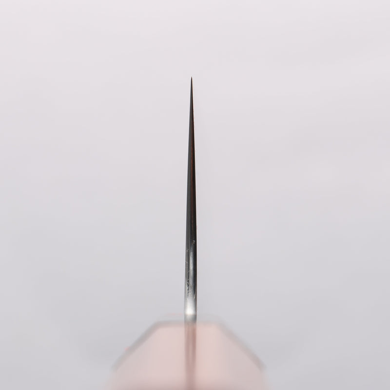 Shibata Takayuki Koutetsu SG2 Gyuto 240mm Jarrah Handle - Japannywholesale