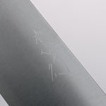Shibata Takayuki Koutetsu SG2 Gyuto 210mm Jarrah Handle - Japannywholesale