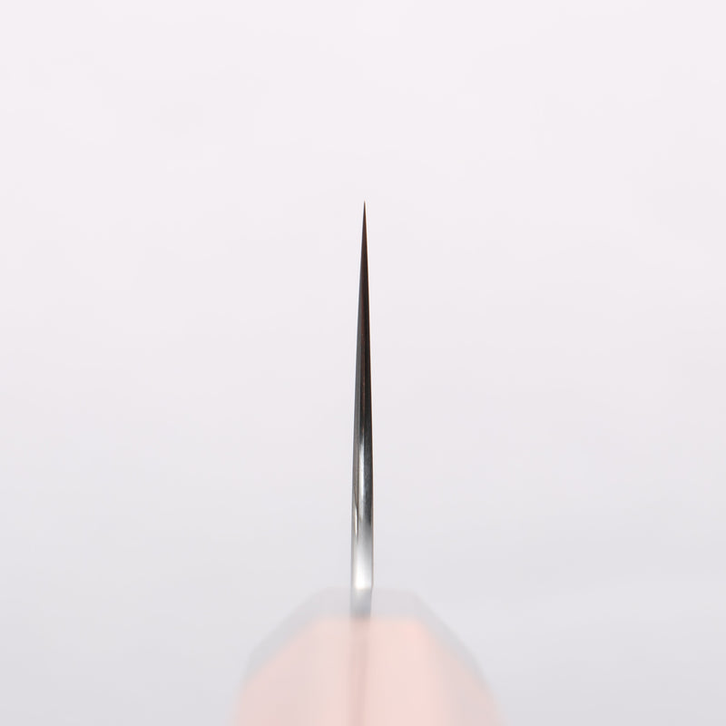Shibata Takayuki Koutetsu SG2 Gyuto 210mm Jarrah Handle - Japannywholesale
