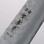 Sakai Takayuki VG10 Nashiji Gyuto 240mm Ebony Wood Handle - Japannywholesale