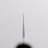 Sakai Takayuki VG10 Nashiji Gyuto 240mm Ebony Wood Handle - Japannywholesale
