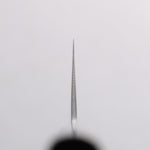 Sakai Takayuki VG10 Nashiji Gyuto 240mm Ebony Wood Handle - Japannywholesale