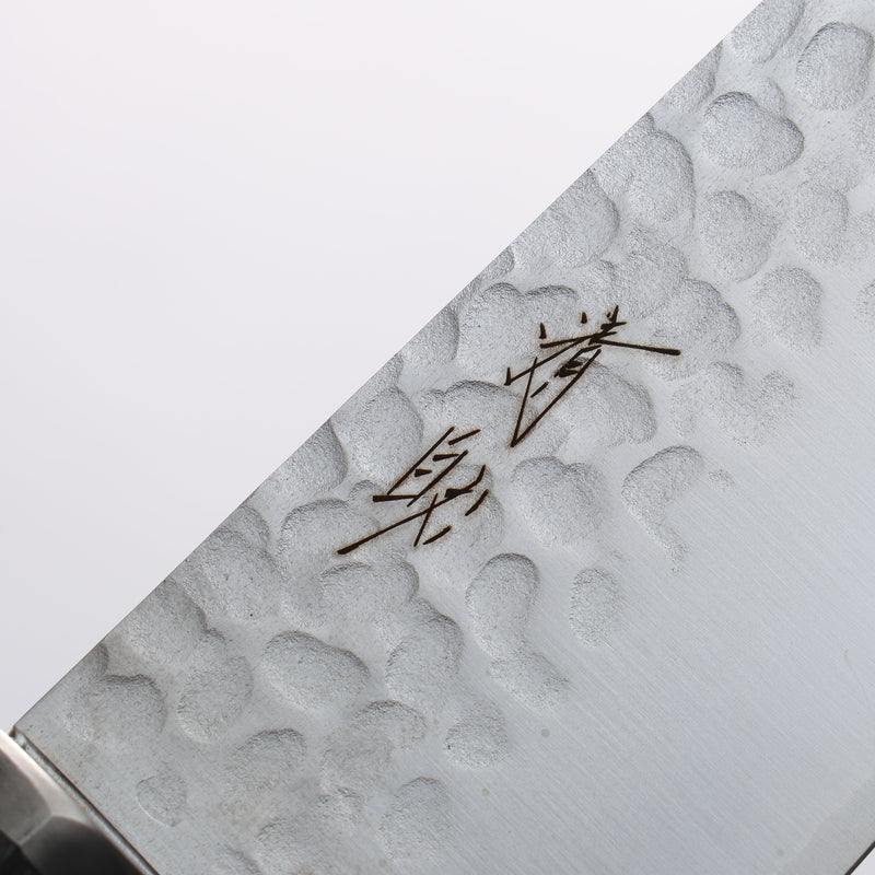 Seisuke VG10 Hammered Gyuto 200mm Charcoal Gray Pakka wood Handle - Japannywholesale