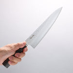 Seisuke VG10 Hammered Gyuto 200mm Charcoal Gray Pakka wood Handle - Japannywholesale