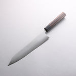 Shibata Takayuki Koutetsu SG2 Gyuto 240mm Rosewood Handle - Japannywholesale