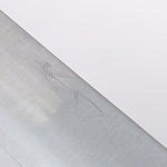 Shibata Takayuki Koutetsu SG2 Gyuto 240mm Rosewood Handle - Japannywholesale