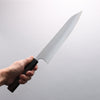 Shibata Takayuki Koutetsu SG2 Gyuto 240mm Rosewood Handle - Japannywholesale