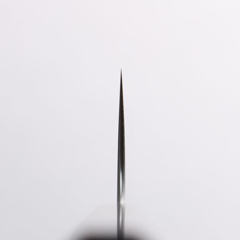 Shibata Takayuki Koutetsu SG2 Gyuto 240mm Rosewood Handle - Japannywholesale