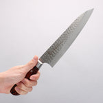 Sakai Takayuki VG10 33 Layer Damascus Gyuto 210mm Mahogany Pakka wood Handle - Japannywholesale