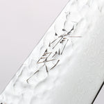 Seisuke VG10 33 Layer Hammered Damascus Gyuto 210mm Mahogany Handle - Japannywholesale