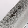 Sakai Takayuki VG10 17 Layer Damascus Gyuto 240mm - Japannywholesale