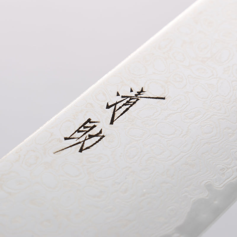 Seisuke Kagami2 AUS10 Mirrored Finish Damascus Gyuto 240mm Black Pakka wood Handle - Japannywholesale
