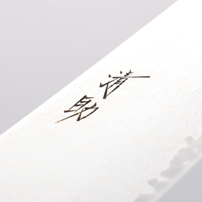 Seisuke Kagami2 AUS10 Mirrored Finish Damascus Gyuto 240mm Red Pakka wood Handle - Japannywholesale