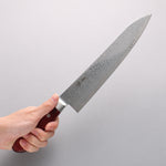 Seisuke Kagami2 AUS10 Mirrored Finish Damascus Gyuto 240mm Red Pakka wood Handle - Japannywholesale