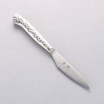Seisuke Stainless Steel Steak Knife & Fork Set 80mm Stainless Handle Ryujin - Japannywholesale