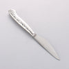 Seisuke Stainless Steel Steak Knife & Fork Set 80mm Stainless Handle Ryujin - Japannywholesale