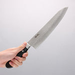 Seisuke AUS8 Hammered Gyuto 240mm Black Pakka wood Handle - Japannywholesale