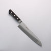 Seisuke Blue Steel No.2 Nashiji Hammered Gyuto 200mm Black Pakka wood Handle - Japannywholesale