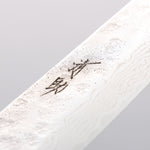 Seisuke Stainless Steel 440C Hammered Damascus Sujihiki 240mm Oak Handle - Japannywholesale