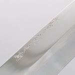 Sakai Takayuki Honyaki Blue Steel No.2 Mirrored Finish Kamagata Usuba - Japannywholesale