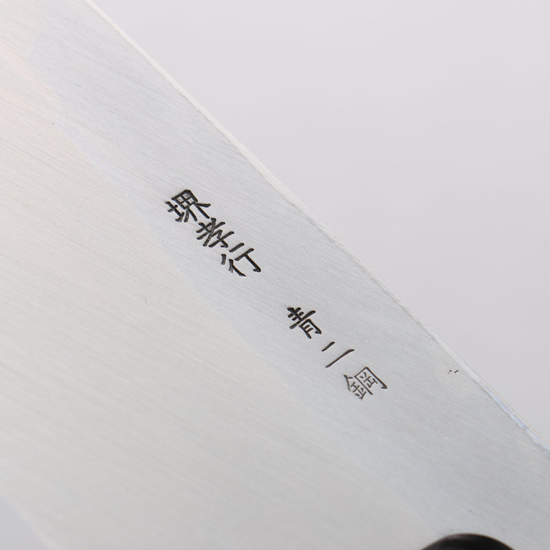 Sakai Takayuki Blue Steel No.2 Deba - Japannywholesale