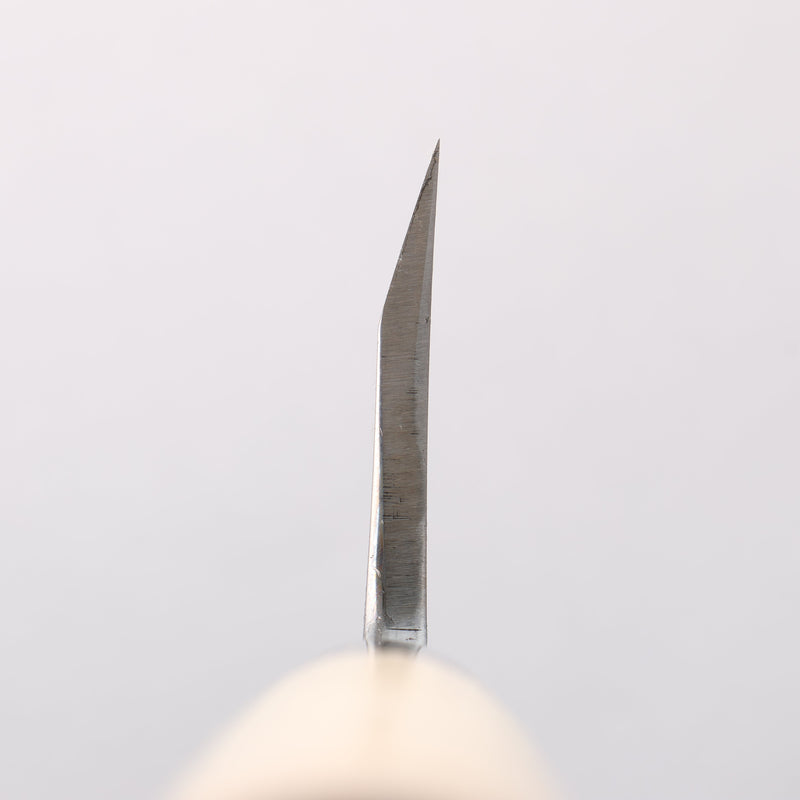 Sakai Takayuki Blue Steel No.2 Deba - Japannywholesale