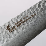 Sakai Takayuki VG10 Hammered Damascus 17 Layer Gyuto 210mm Black Pakka wood Handle - Japannywholesale