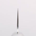 Sakai Takayuki VG10 Hammered Damascus 17 Layer Gyuto 210mm Black Pakka wood Handle - Japannywholesale