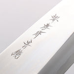 Sakai Takayuki Blue Steel No.2 Mirrored Finish Deba - Japannywholesale