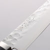 Seisuke VG1 Japanese Santoku & Petty Pakka wood Handle - Japannywholesale