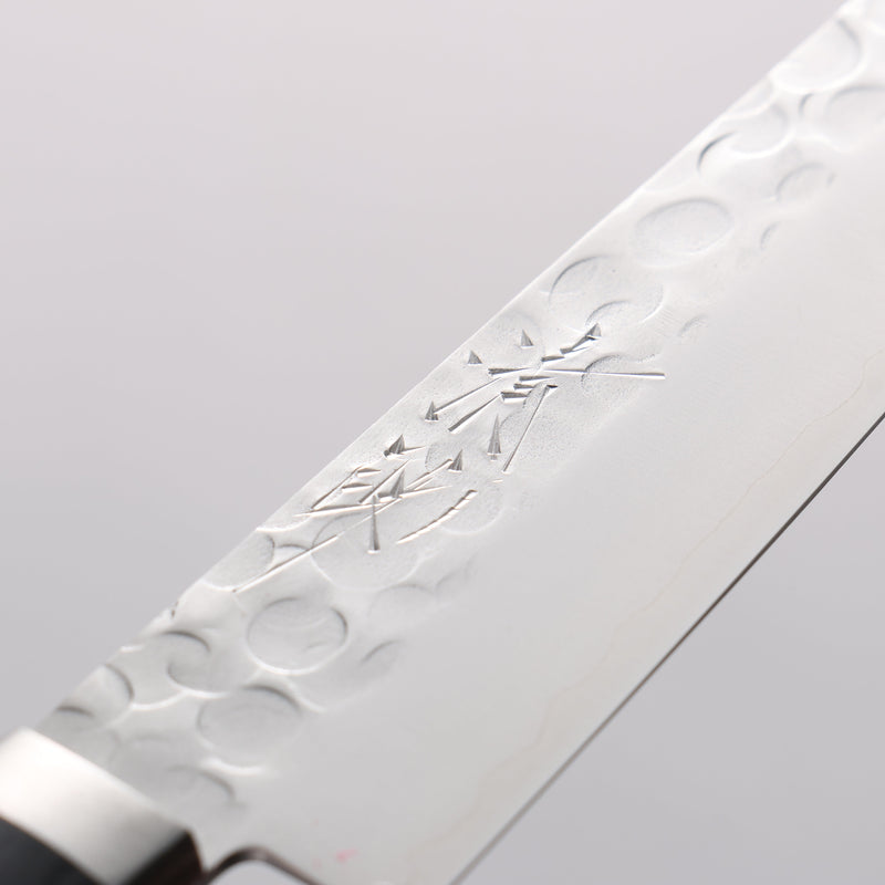 Seisuke VG1 Japanese Santoku & Petty Pakka wood Handle - Japannywholesale