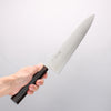 Seisuke SG2 Gyuto 270mm Ebony Wood Handle - Japannywholesale