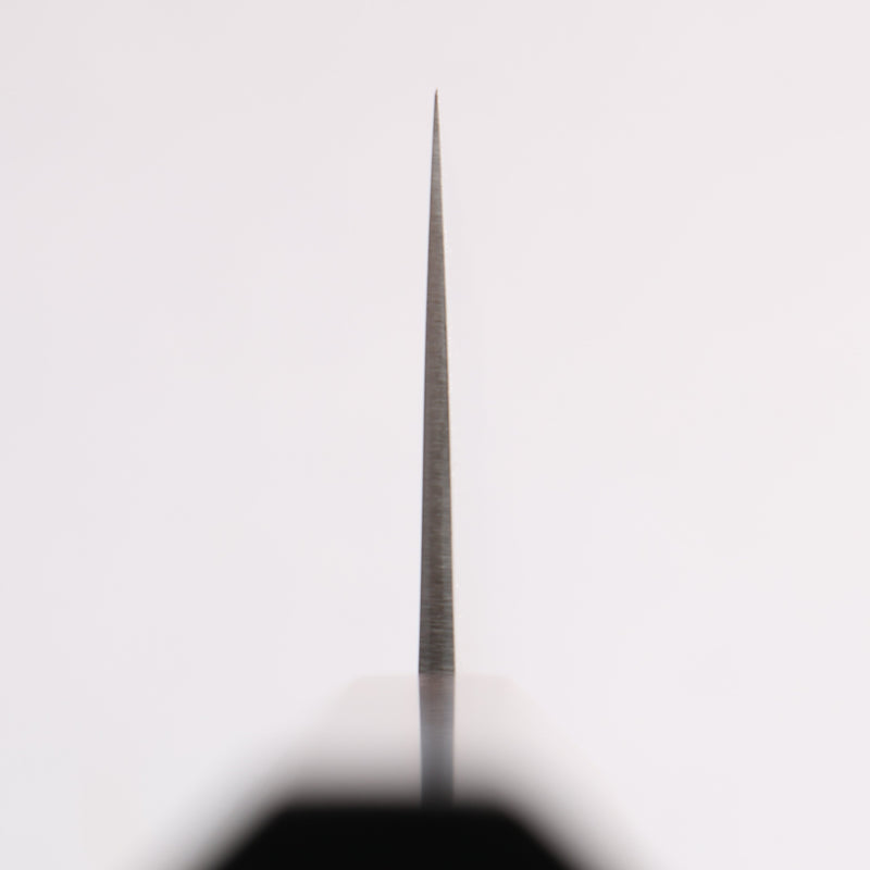 Seisuke SG2 Gyuto 270mm Ebony Wood Handle - Japannywholesale