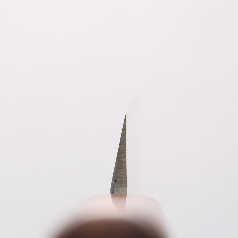Sakai Takayuki INOX Molybdenum Yanagiba Desert Ironwood(Sugihara model) Handle - Japannywholesale