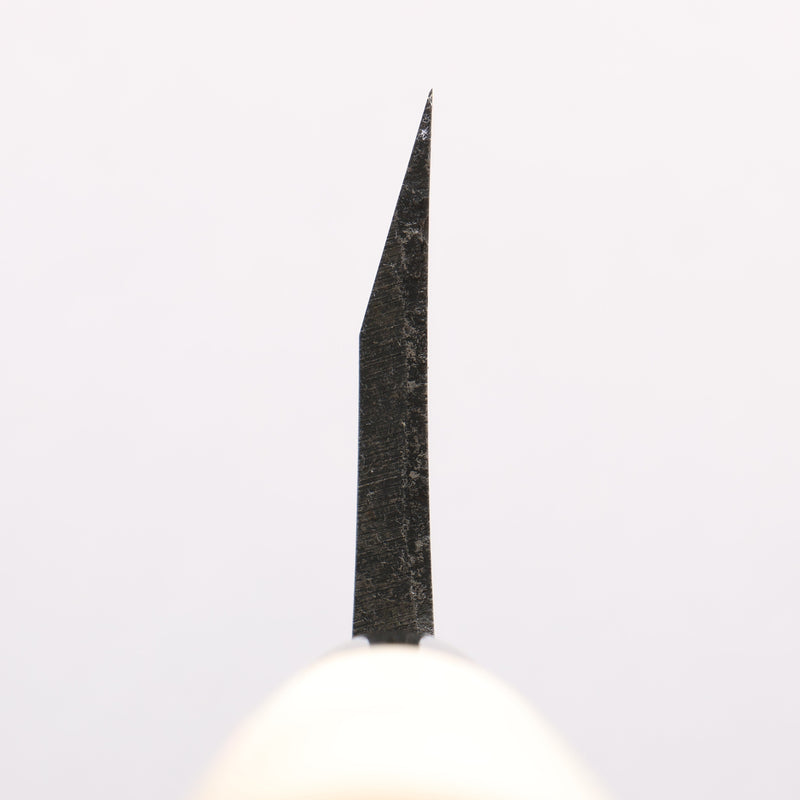 Sakai Takayuki Kasumitogi White Steel Deba 240mm Magnolia Handle - Japannywholesale