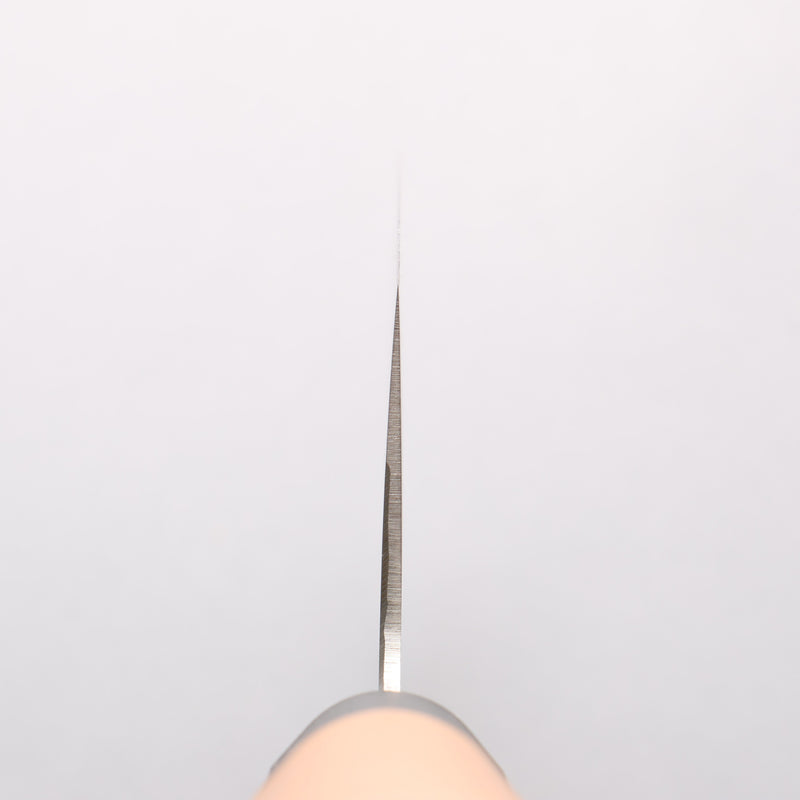 Sakai Takayuki Molybdenum Sushi Cut 240mm PC(Plastic) Handle - Japannywholesale
