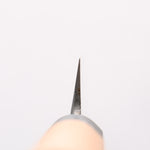 Sakai Takayuki Molybdenum Yanagiba 270mm PC(Plastic) Handle - Japannywholesale